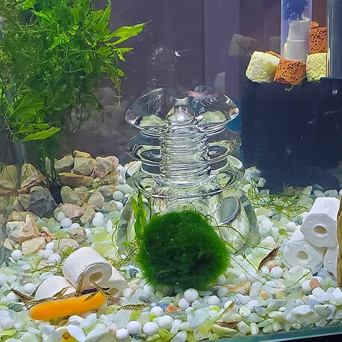 18lb Jade Bean Pebbles,1/4 Inch Cactus Bonsai DIY Rocks, Natural Succulent Rock and River Rocks Decorative for Aquariums, Vases, Terrarium, Outdoor Gardening, Top Dressing for Potted Plants-PawvioPets