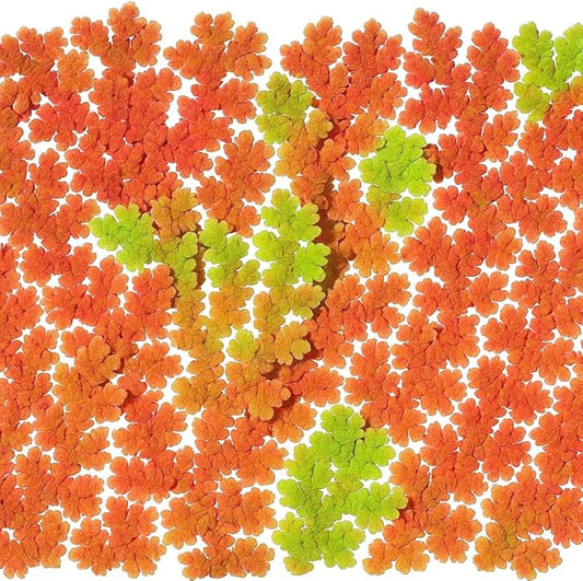 Azolla caroliniana 20 + Plants Live Floating Pond Plant Mosquito Fern Water Velvet Fairy Moss Aquarium Outdoor Ponds Fast Growth Outcompetes Algae Fish Food filiculoides-PawvioPets