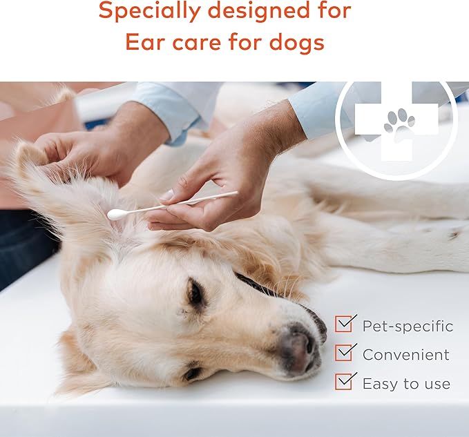 Cotton Swabs for Dogs and Cats - Cat & Dog Ear Cleaner Long Cotton Swab - Extra Large Cotton Head, Cat & Dog Ear Cleaning Kit for Puppies, Multipurpose Pet Cotton Swabs (Extra Large 100 Buds)-PawvioPets