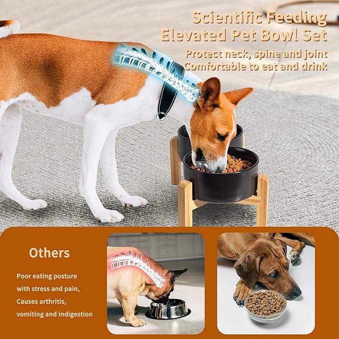 Elevated Ceramic Dog Bowl Set - Raised Dog Bowls with Non-Slip Bamboo Stand - Dog Food and Water Bowl Set - Double Dog Feeding Bowls - Suitable for Small and Medium Dogs - 28.74 OZ - 3.6 CUPS - 850 ML-PawvioPets