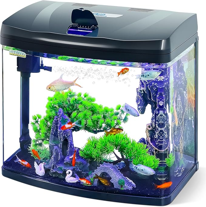 13 Gallon Glass Aquarium Starter Kit with Flip-Top Feeding Port for Betta Fish: Crystal Clear Viewing, Eco-Cycle Filtration, Air Pump, and LED Lighting-PawvioPets