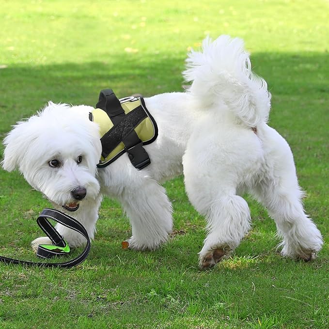 Bolux Dog Harness, No-Pull Reflective Dog Vest, Breathable Adjustable Pet Harness with Handle for Outdoor Walking - No More Pulling, Tugging or Choking-PawvioPets