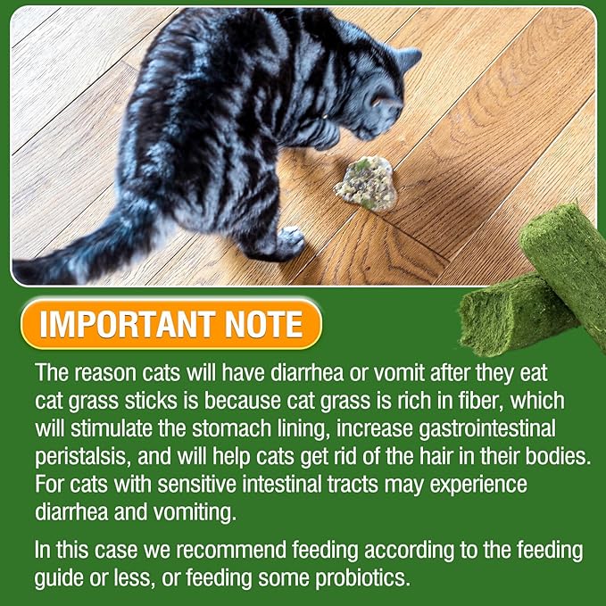 30g Cat Grass Sticks, Delicious Cat Grass Teething Stick Edible Cats Chew Toy Cat Treats Snack for Teeth Cleaning and Hairball Removal-PawvioPets