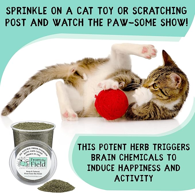 from The Field | Fine Ground Stalkless Catnip | Premium USA-Grown Catnip for Toys & Playtime | Fresh, Potent, Non-Toxic, Eco-Friendly | Safe for Kittens & Cats | Resealable 2 Oz Tub-PawvioPets
