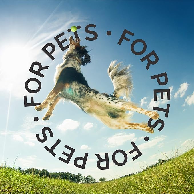 Bark2Basics Rock The Dog Oatmeal Dog Shampoo, 1 Gallon - Natural Colloidal Oatmeal, Natural, Calms Dry Itchy Irritated Skin, Moisturizes and Soothes The Skin and Coat, Professional Grade-PawvioPets