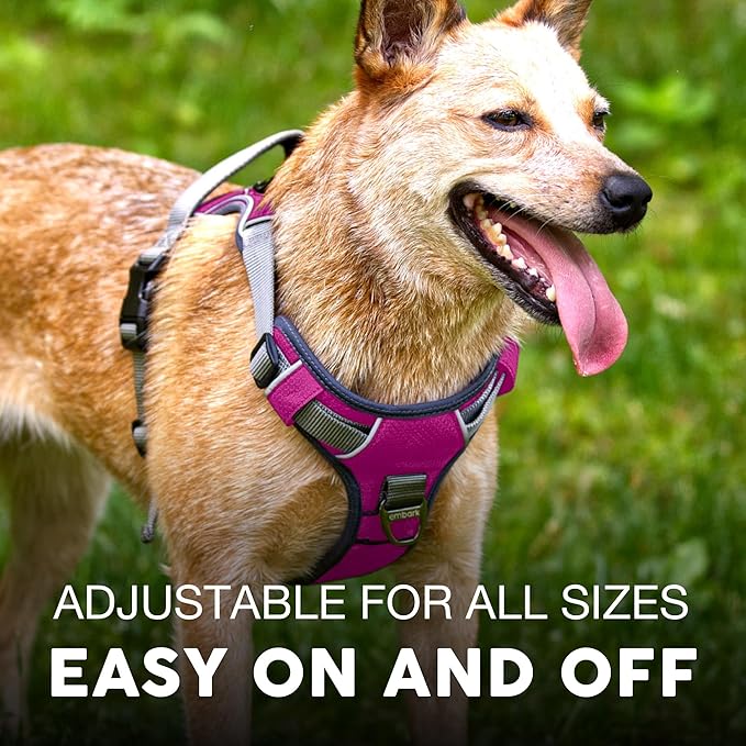 Embark Adventure Dog Harness, Reflective Trim No Pull Dog Harness Medium Sized Dogs - Military Grade Nylon, Front Clip with Gel Lined Handle.-PawvioPets