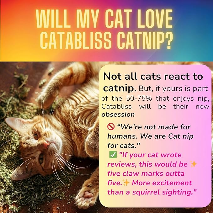 1oz Cat Nip for Cats, Turbo Charging Blend for Refillable Catnip Toys, 100% Essential Natural Cat Weed Treat, Non-Addictive, Enhancing Play for Indoor Cats-PawvioPets