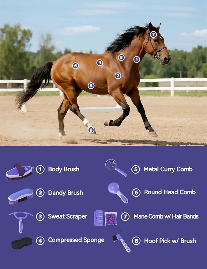 9PCS Horse Grooming Kit Curry Comb Sweat Scraper Horse Bathing Supplies Grooming Tools with Storage Bag Sugar Taro-PawvioPets