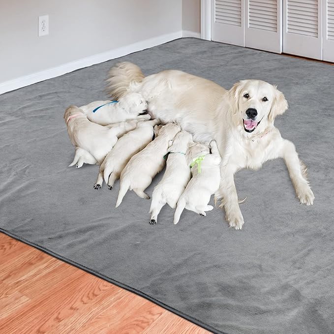 Dog Pee Pad Washable-Extra Large Instant Absorb Training Pads Non-Slip Pet Playpen Mat Waterproof Reusable Floor Mat for Puppy/Senior Dog Whelping Incontinence Housebreaking (31"x36"-(2PACK))-PawvioPets