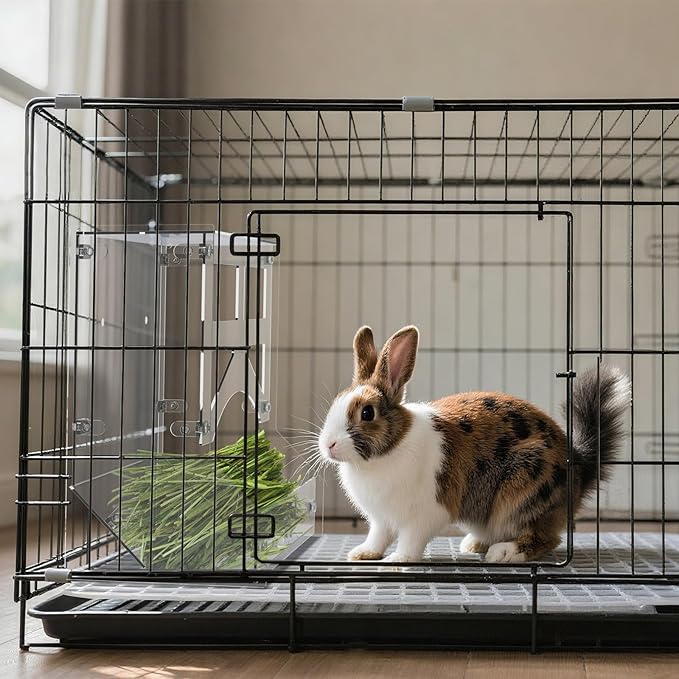 Acrylic Rabbit Hay Feeder with Lid, Transparent Hanging Food Dispenser Hay Feeder for Bunny Rabbits Guinea Pig Cage Chinchillas Hamsters Small Pets and Animals（Large-PawvioPets