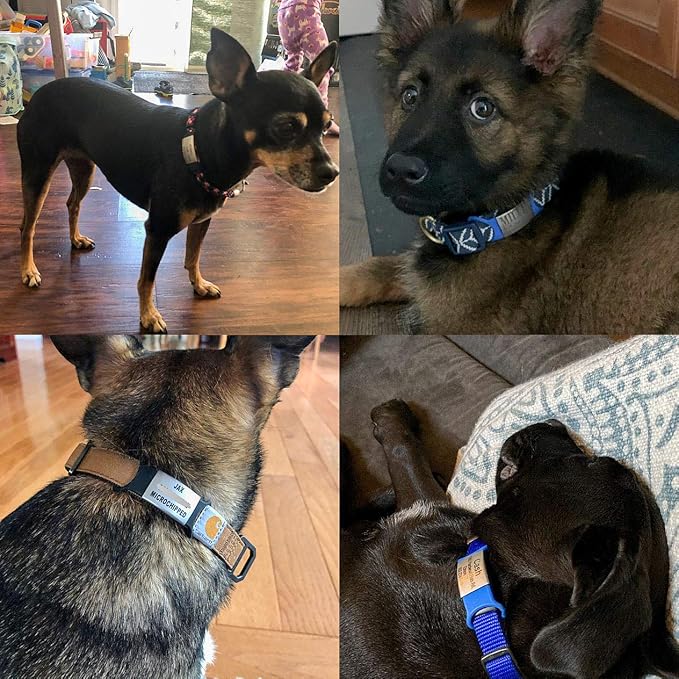 Custom Personalized Dog & Cat ID Tags - Engraved Dog Name, Silent Slide On - Small, Medium, Large Sizes-PawvioPets