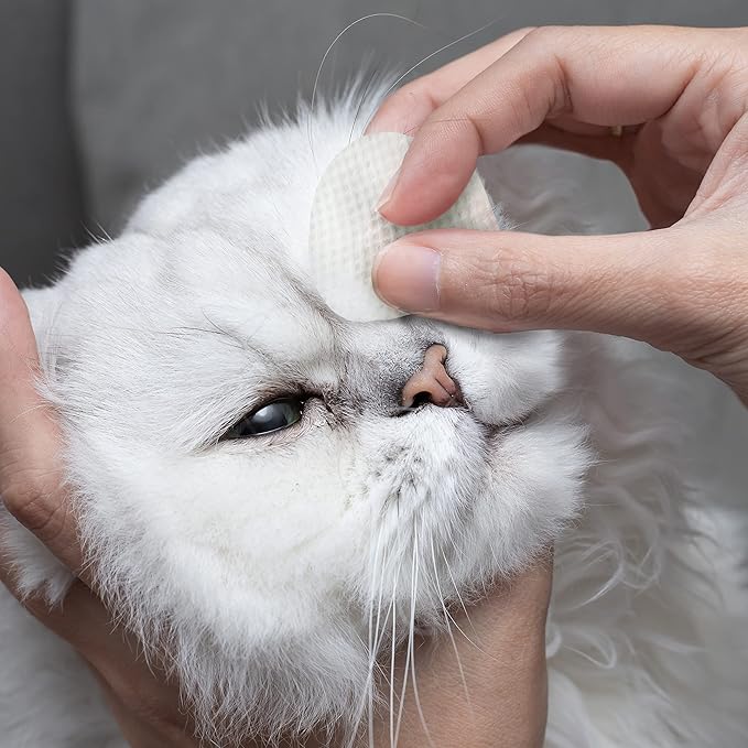 Eye Envy Tear Stain Wipes for Cats. Textured to Gently Clean, Treats The Cause of Staining. 100% Natural Formula. Recommended by Persian & Exotic Breeders, Vets, Groomers. USA Made. 60 Cat Eye Wipes-PawvioPets