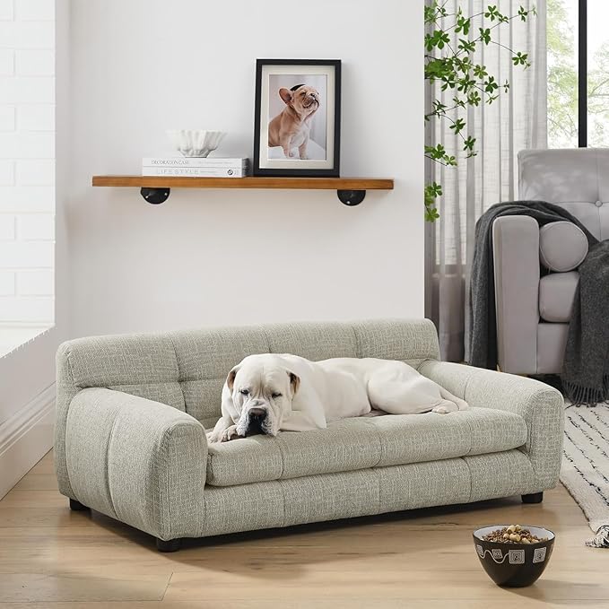 Dog Couch Bed, Mini Sofa for Dogs with Backrest and Armrest, Durable Pet Sofa with Soft Foam Cushion, Elevated Dog Couch Bed with Legs for Medium and Large Dogs, Beige-PawvioPets