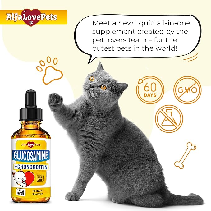 Cat Joint Supplement for All Breeds – Glucosamine for Cats and Kittens – Glucosamine, Chondroitin, MSM for Hip & Joint Care – Natural Ingredients with Chicken Flavor – 2 Oz-PawvioPets
