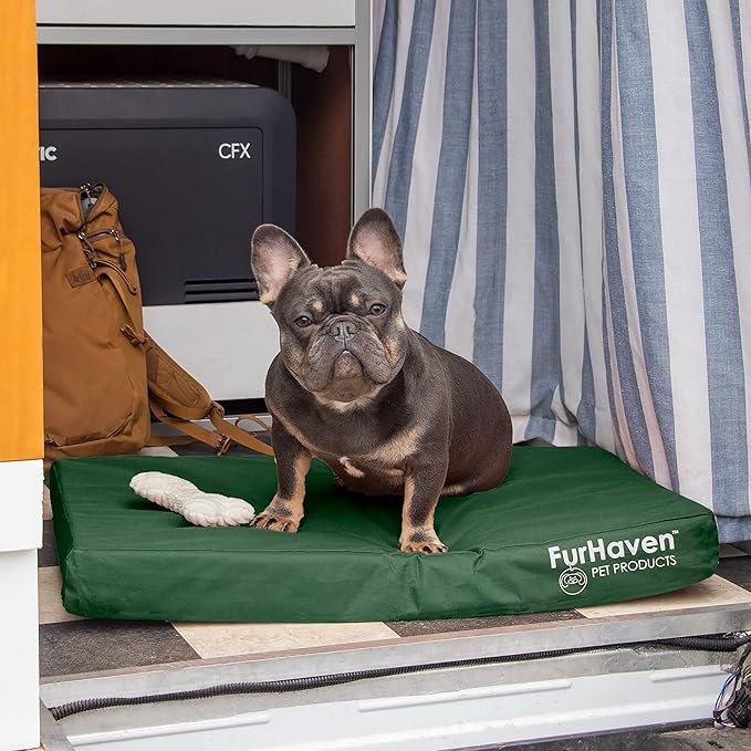 Furhaven Water-Resistant Cooling Gel Dog Bed for Medium/Small Dogs w/ Removable Washable Cover, For Dogs Up to 35 lbs - Indoor/Outdoor Logo Print Oxford Polycanvas Mattress - Forest, Medium-PawvioPets