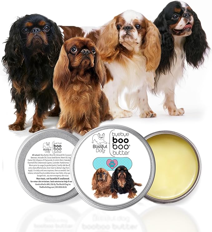 English Toy Spaniel Boo Boo Butter, 4-Ounce-PawvioPets