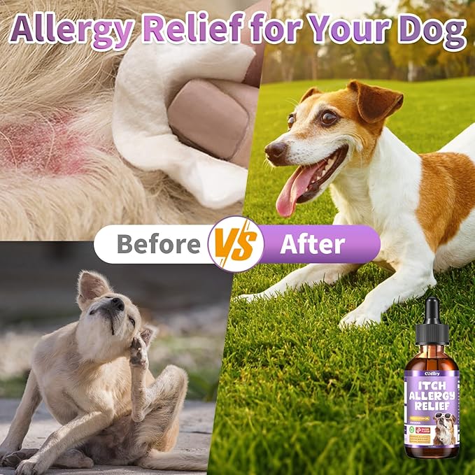 Dog Allergy Relief Drops, Skin & Coat Support with Fish Oil and Omega-3, Natural Immune Supplement for Dogs – Seasonal Allergy & Itchy Skin Care – Soothes Sensitive Skin, Itch Relief for Dog, 2 Fl oz-PawvioPets