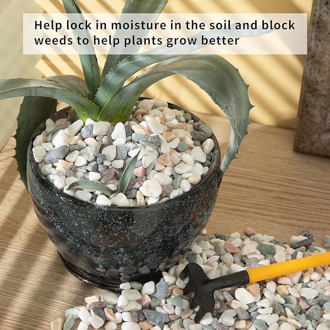 2lb Succulent and Cactus Gravel Pebbles 1/5-3/8 Inch Natural Decorative Polished Stones River Rocks for Plants, Vases, Aquariums, Terrarium and Outdoor Gardening, Mixed Color-PawvioPets
