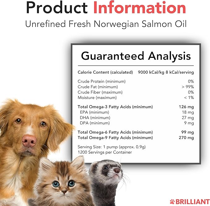 Brilliant Omega 3 Salmon Oil for Dogs & Cats - Norwegian Fish Oil Supplement with EPA & DHA Fatty Acids for Shedding, Allergy, Itching, Dry Skin & Joint Health - Skin and Coat Fish Oil Liquid, 40 Oz-PawvioPets