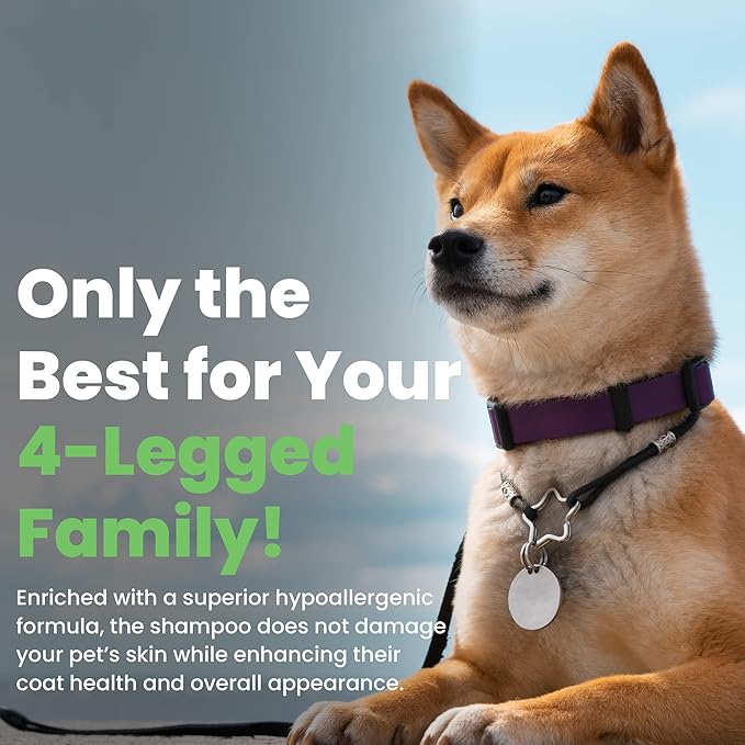 Best Shot Scentament Spa Seasonal Facial & Body Wash, Hot Toddy, 1 Gallon-PawvioPets