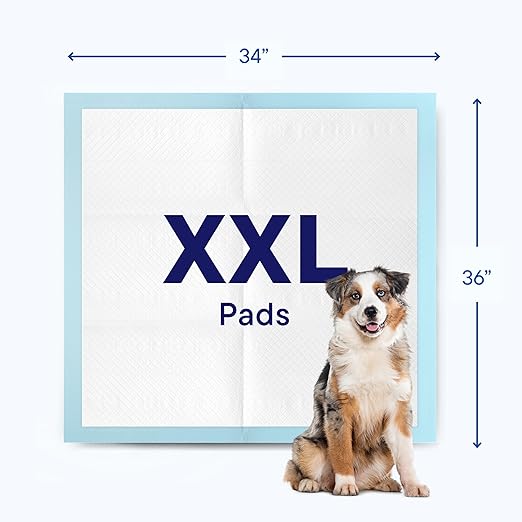 Dog Pads Large Pet Pee Pads for Dogs & Puppy Training 34" x 36" Potty Pads for Dogs [50-COUNT] Leak-Proof Dog and Puppy Pads - Quick-Dry Surface - Heavy Duty Absorbent Disposable Dog Wee Pad Bulk Pack-PawvioPets