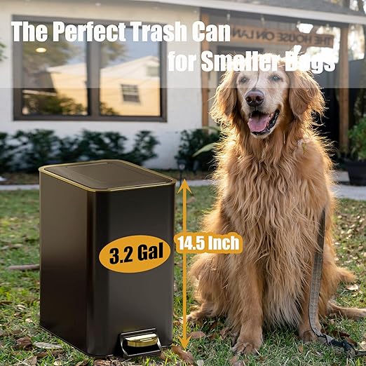 Dog Poop Trash Can Outside Stainless Steel - Metal Pooper Scooper Set - 12L Dog Waste Trash Can Outdoor with Pedal - Backyard, Yard - Removable Inner Bin, Long Handle Tray and Rake - Black and Gold-PawvioPets