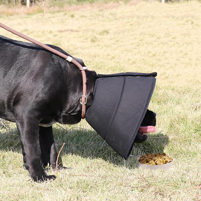 Adjustable Dog Cat Cone,Soft Recovery Cat Cone Collar,Dog Protective Collar for Cats,Puppy and Dogs,Black,Large-PawvioPets