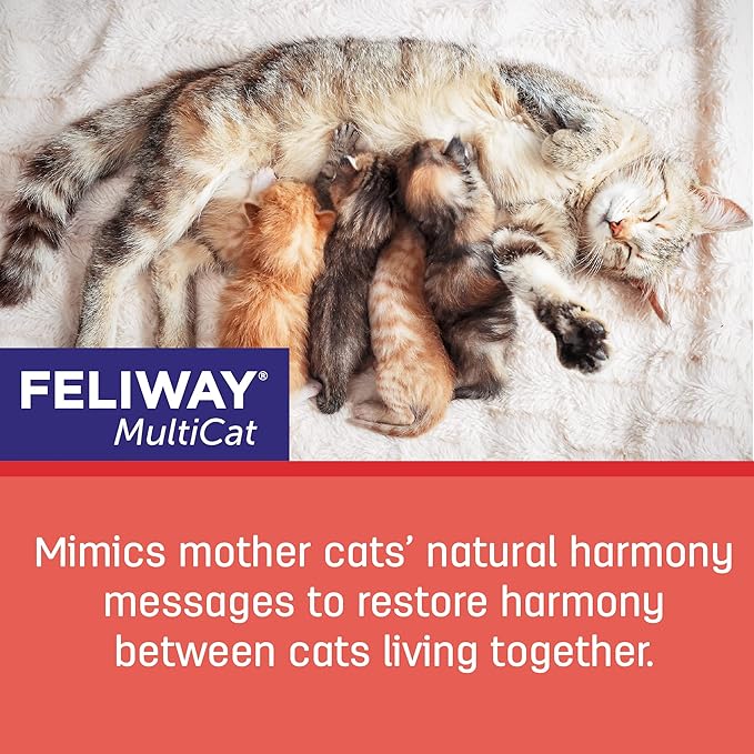 FELIWAY® MultiCat 30 Day Cat Calming Refill for Pheromone Diffuser, 48ml - 1x 30 Day - Helps Reduce Conflicts and Signs of Tension in Multi-Cat Households-PawvioPets