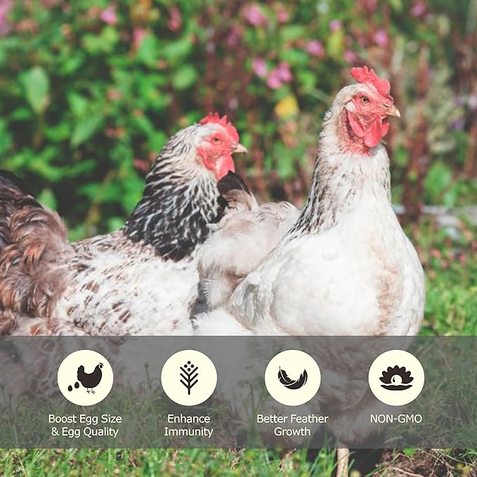 11 LBS Dried Mealworms, Non GMO, High Protein Treat for Chicken, Duck, Birds, Reptile, Hamster,Hedgehog-PawvioPets