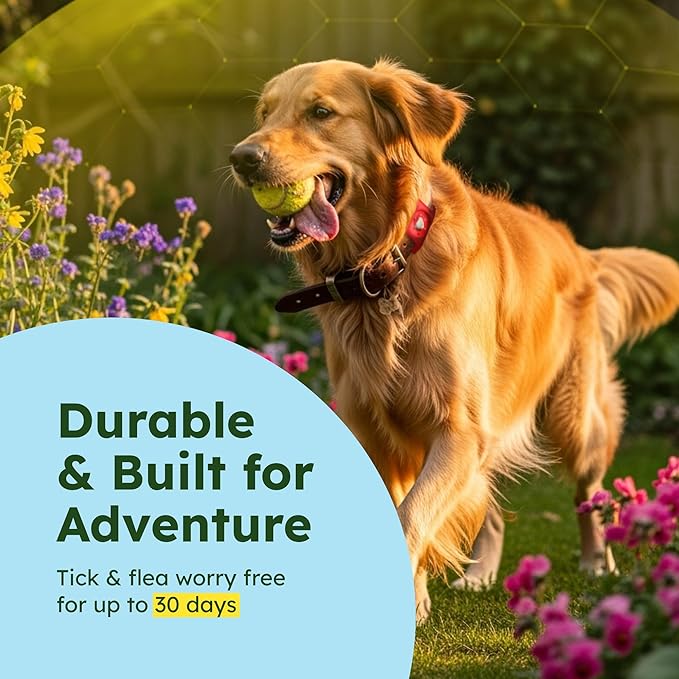 BugMD Paw Guardian Flea and Tick Prevention Pendant for Dogs with AirTag Holder | Plant-Powered Flea & Tick Control for Dog Collars Harnesses | Dog Tag with Air Tag Holder - Red-PawvioPets