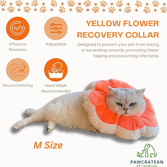 Adjustable Comfy Flower Style Elizabeth Collar for Cats Puppies Soft Recovery Cone Pet Protective Neck Collar (Orange, Medium)-PawvioPets