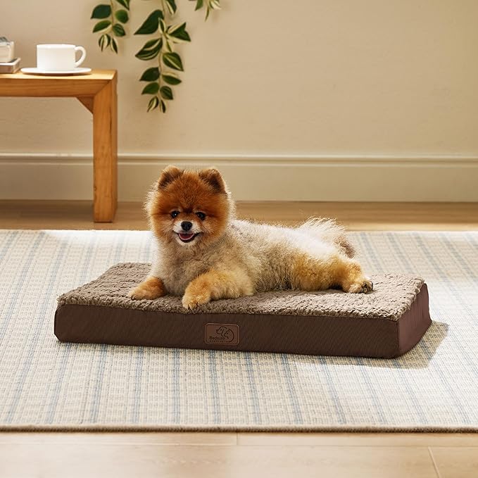 Bedsure Dog Bed for Small Dogs - Orthopedic Flat Puppy Beds with Removable Washable Cover, Egg Crate Foam Pet Mat, Suitable for Pet Up to 20 lbs-PawvioPets