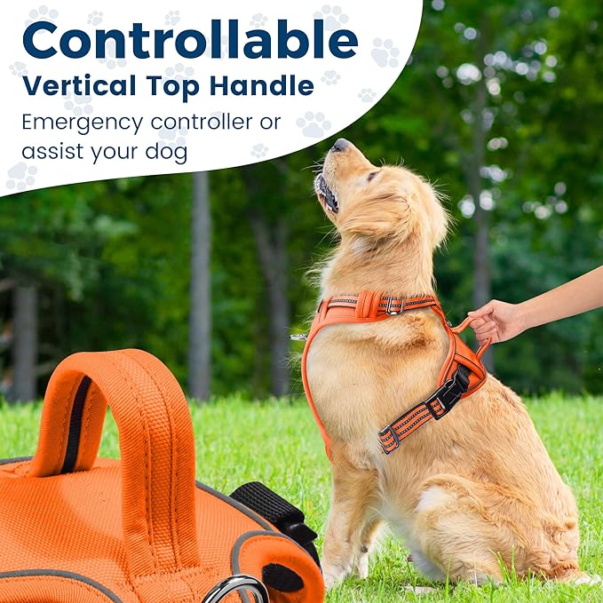 Funfox Dog Harness No Pull, Adjustable Pet Vest Harness, Super Soft Material with Vertical Handle Easy Control, Reflective Night Walking, 2 Leash Clips for XLarge Dogs, Orange, XL-PawvioPets