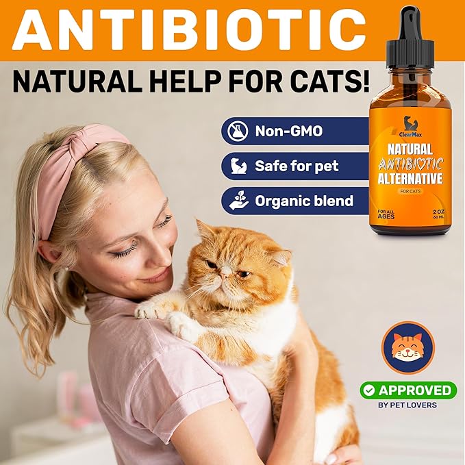Cat Antibiotic to Help with Cough & Allergies – Antibiotics for Cats to Aid with UTIs and Digestive Moments – HIPS & Joints Support – Attractive Chicken Taste – 2 Oz Bottle-PawvioPets