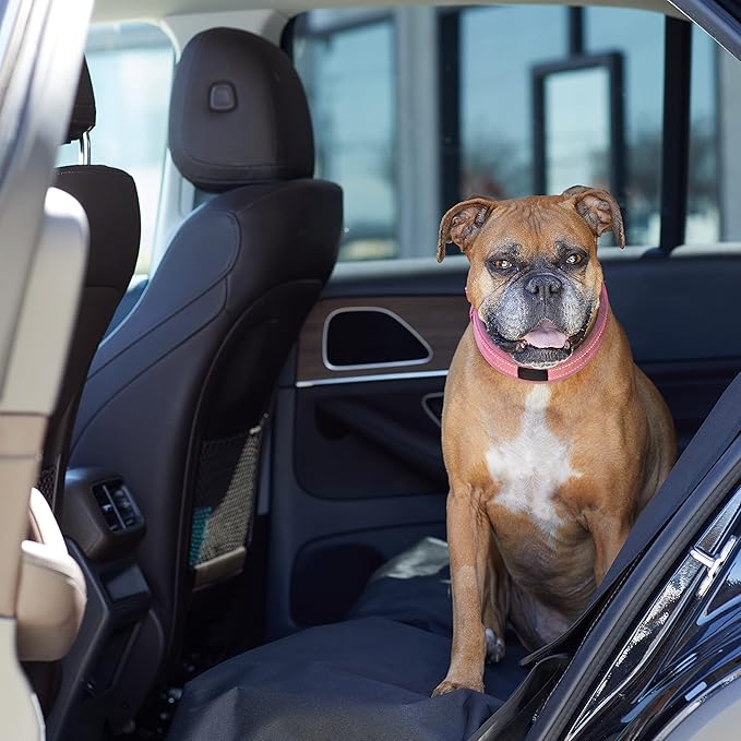 Amazon Basics Waterproof Car Back Bench Seat Cover Protector for Dog - 56 x 47 inch, Black-PawvioPets