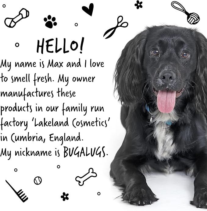 Dog Shampoo Luxury 2 in 1 Papaya & Coconut Dog Grooming Shampoo Products for Smelly Dogs with Fragrance, Best Puppy Shampoo, Professional Groom Vegan pet Shampoo & Conditioner-PawvioPets