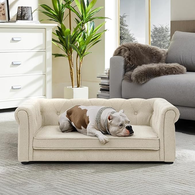 Dog Sofa Couch for Medium to Large Dogs, 31" Memory Foam Dog Couch with Washable Fabric, Removable Cushion, Sofa Bed for Medium and Large Dogs, Beige-PawvioPets