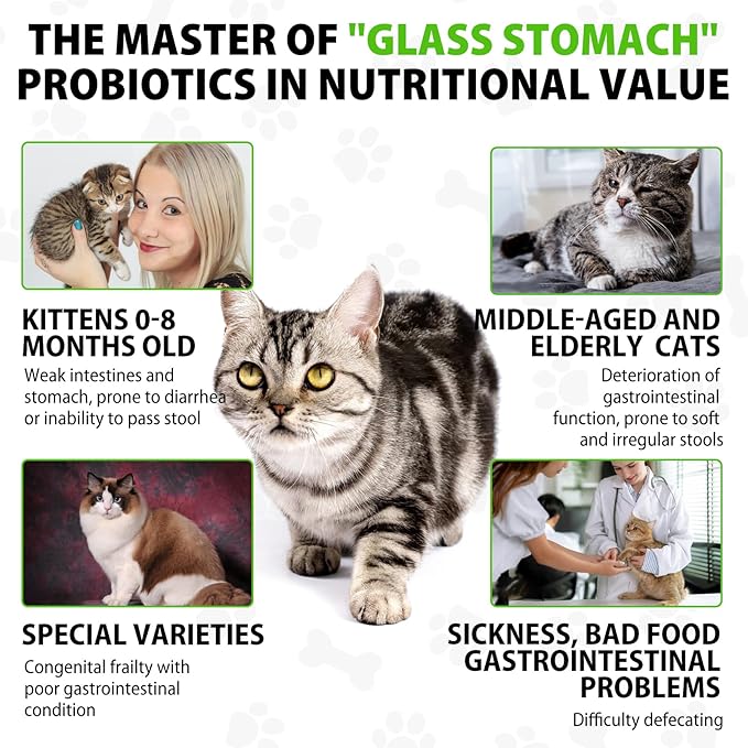 Cat Constipation Relief, Constipation Relief for Cat, Cat Laxative Constipation Relief, 100% Natural Cat Laxative with 6 Probiotics Cat Stool Softener, Promotes Digestive Health - 2 fl oz-PawvioPets