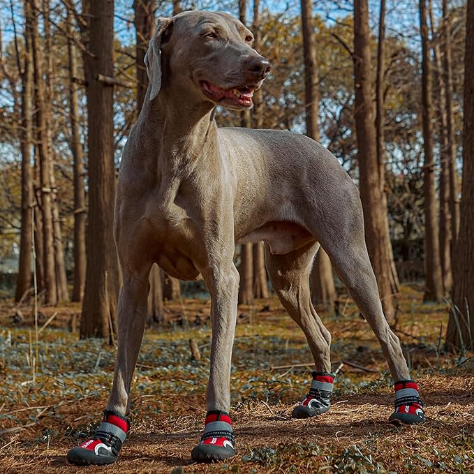 Dog Shoes, Waterproof Dog Boots & Paw Protectors with Anti-Slip Sole, 4pcs/Set Pet Dog Booties, Reflective Dog Shoes for Small Medium Large, Winter Snowy Summer Hot Pavement (Red, 8# (2XL))-PawvioPets