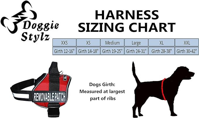 Doggie Stylz Blind Dog Vest Harness with Removable Patches and Reflective Trim. Comes with 2 Blind Dog Reflective Hook and Loop Patches. Measure Dogs Girth Before Purchase (Girth 30”- 42" Black)-PawvioPets
