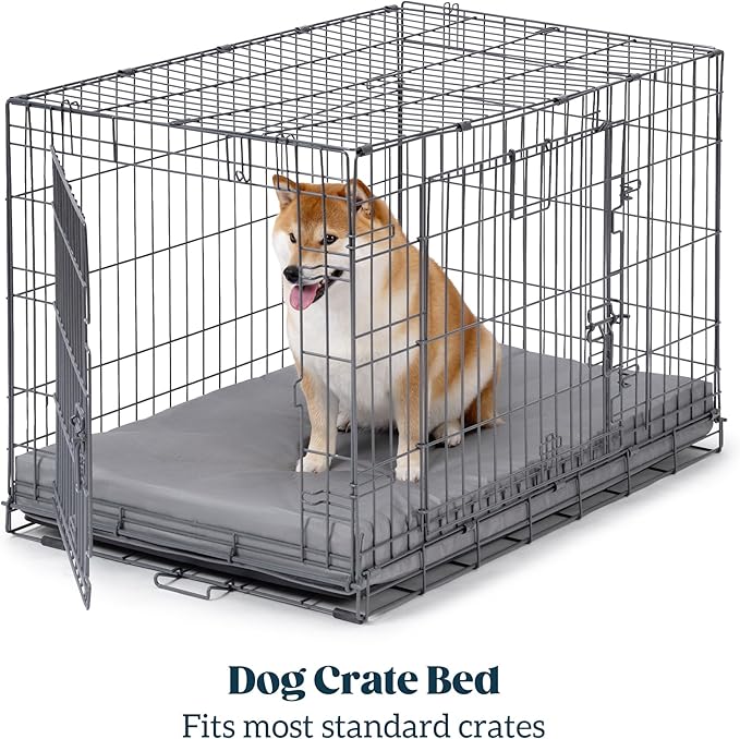 Cybarmour Indestructible Dog Bed - Outdoor Waterproof Chew Proof Dog Crate Pad - Orthopedic Kennel Mat for Aggressive Chewers - Large Breeds & Fits 36-Inch Crate - 35"x22", Limestone-PawvioPets