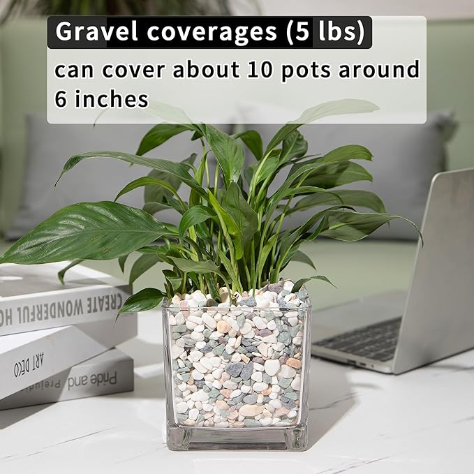 5lb Succulent and Cactus Gravel Pebbles 1/5-3/8 Inch Natural Decorative Polished Stones River Rocks for Plants, Vases, Aquariums, Terrarium and Outdoor Gardening, Mixed Color-PawvioPets