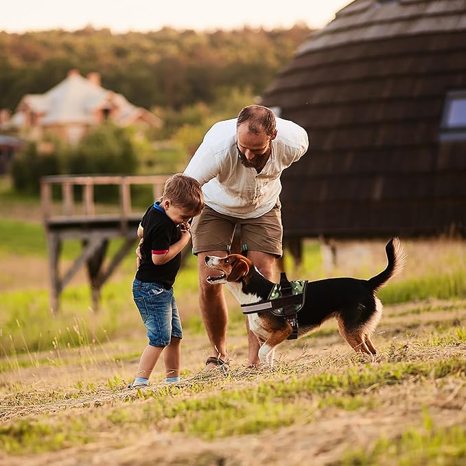 Dogline Dog Harness, Reflective No-Pull Adjustable Vest with Handle, Breathable No-Choke Harness for Small, Medium or Large Dogs Room for Patches Girth 27 to 34 in Green Camo-PawvioPets