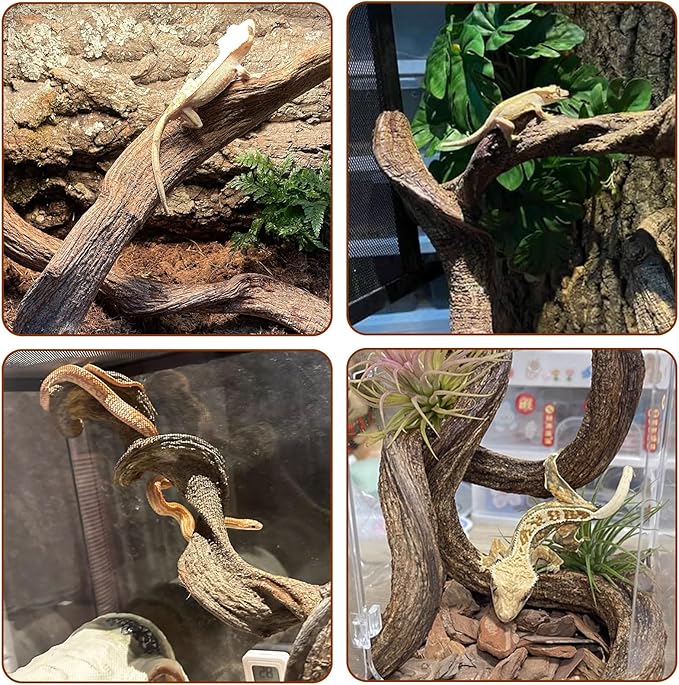 BNOSDM 4Pcs Reptile Climbing Branches Decor,Snake Climbing Branch,Gecko Climb Wood,Lizard Forest Branch,Tank Habitat Tree Trunk Decorations for Bearded Dragons,Chameleons,Spider,Frogs (S)-PawvioPets
