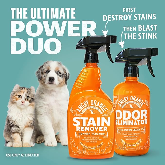 ANGRY ORANGE Pet Stain Remover for Dog Urine and Stains - Enzyme Cleaner - Citrus - Value 2 pack-PawvioPets