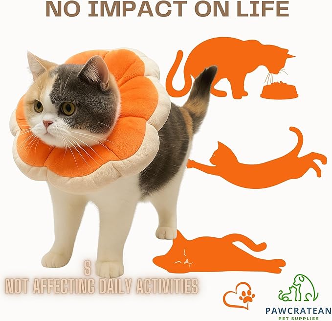 Adjustable Comfy Flower Style Elizabeth Collar for Cats Puppies Soft Recovery Cone Pet Protective Neck Collar (Orange, Medium)-PawvioPets