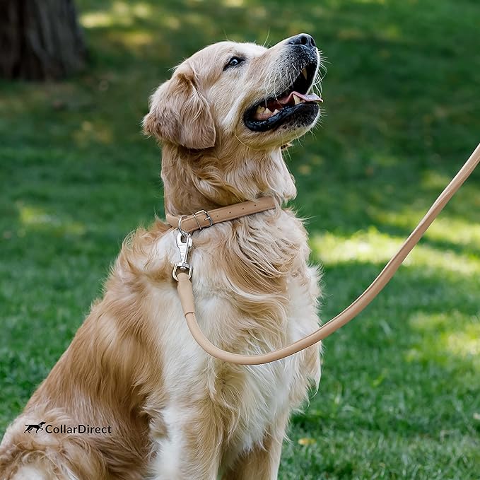 CollarDirect Rolled Leather Dog Collar, Soft Padded Round Puppy Collar, Handmade Genuine Leather Collar Dog Small Large Cat Collars 13 Colors (13-16 Inch, Beige Textured)-PawvioPets
