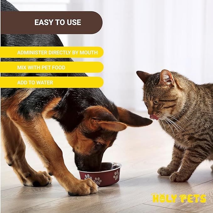 Cough Medicine for Dogs & Cats, Respiratory Infection Support - Sneezing Relief & Kennel Cough Treatment - Pet Asthma Support - Made with Natural Ingredients in The USA-PawvioPets