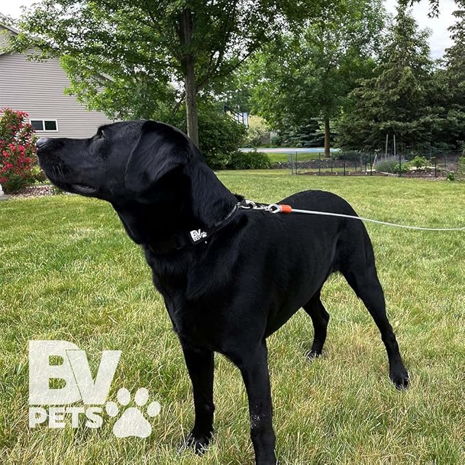 BV Dog Tie Out Cable 25 Feet - Heavy Duty Dog Lead up to 90 Pounds - Reflective & Rust-Free with Quick Release Swivel Clips & 360° Rotating Clasp - Tangle-Free Dogs Runner for Yard (Silver, Single)-PawvioPets