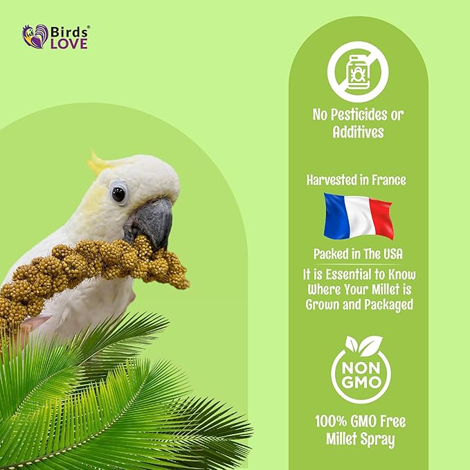 Birds LOVE French Kissed Spray Millet for Birds - Parakeets, Cockatiels, Lovebirds, Finches, Budgies, Canaries, Cockatoos - Natural & Healthy Bird Millet - Parakeet Food & Treats for All Parrots 5lbs-PawvioPets